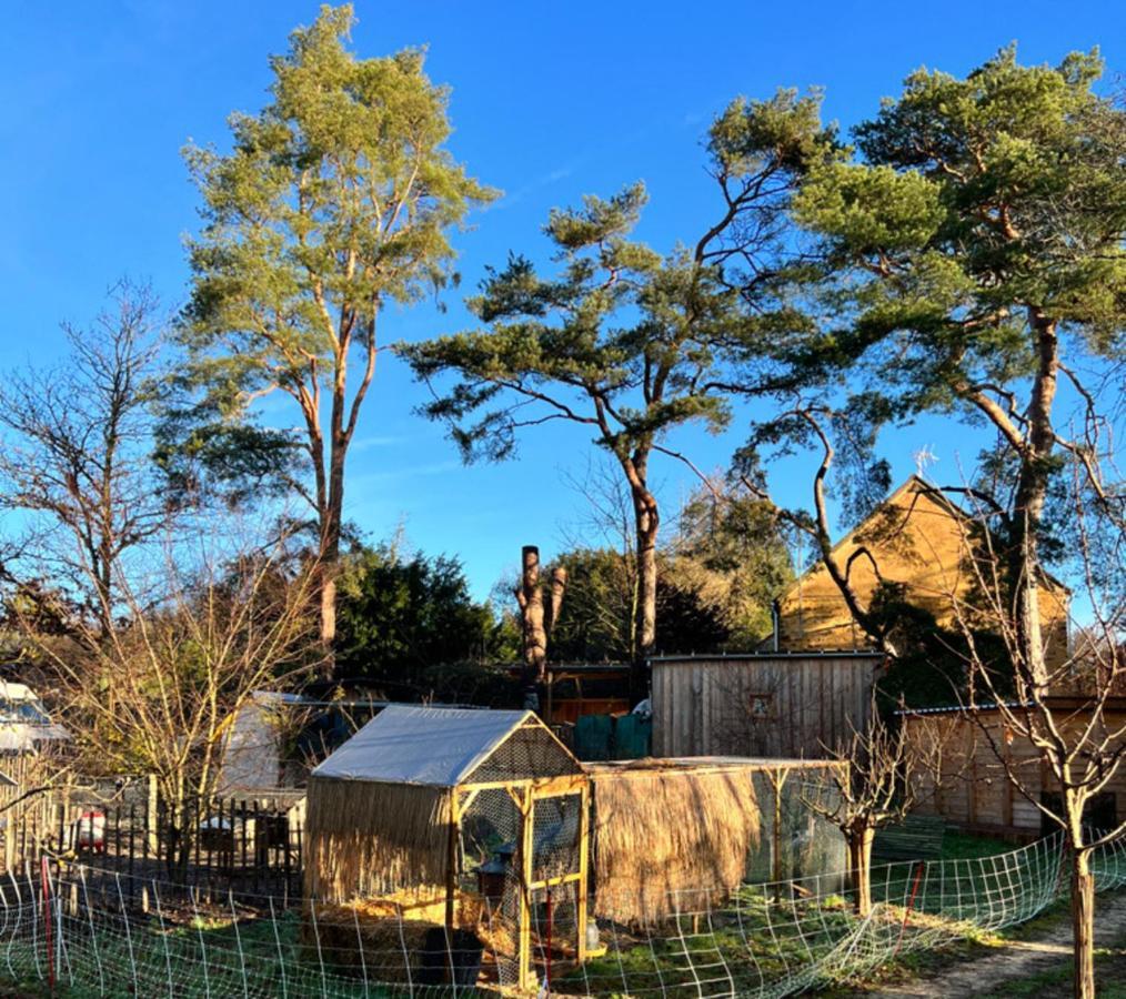 Ecolodge Beauregard Treigny Eksteriør bilde