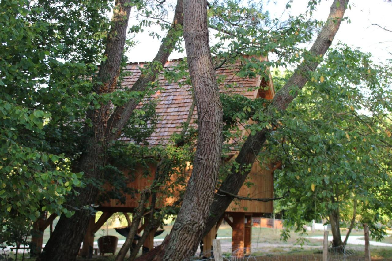 Ecolodge Beauregard Treigny Eksteriør bilde
